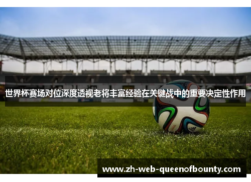 世界杯赛场对位深度透视老将丰富经验在关键战中的重要决定性作用