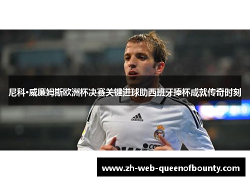 尼科·威廉姆斯欧洲杯决赛关键进球助西班牙捧杯成就传奇时刻